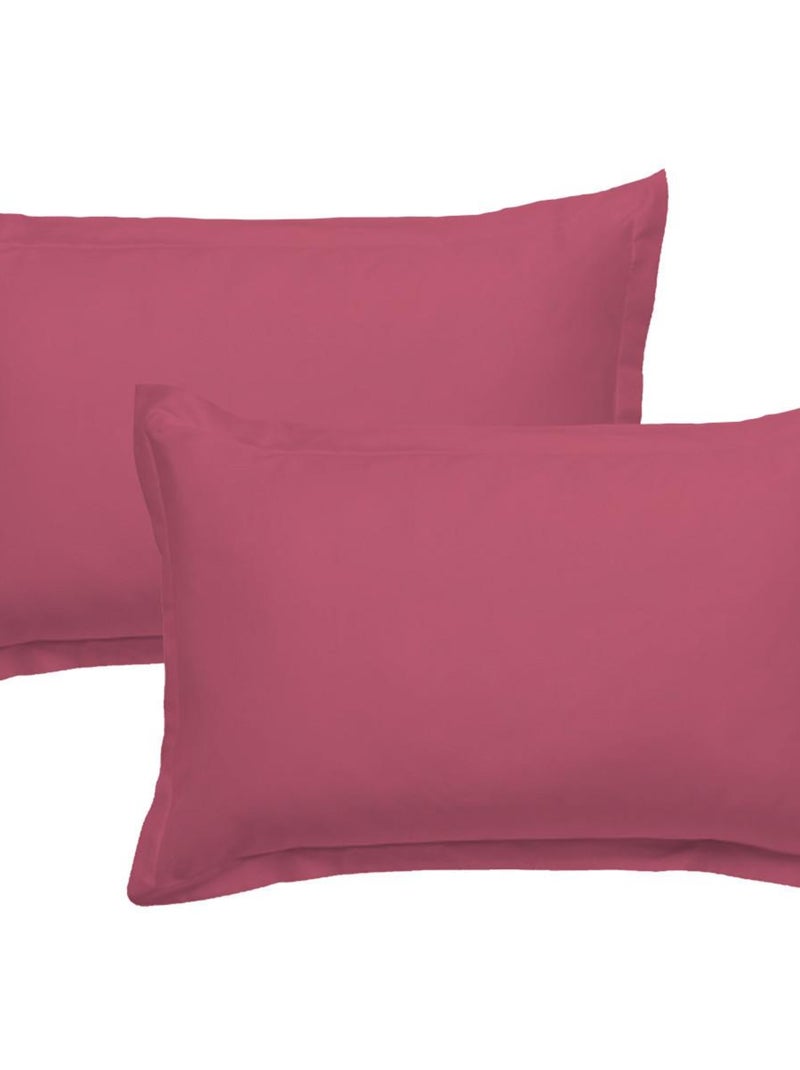 Future Home - Lot de 2 taies d'oreiller en coton  Fuchsia 50x70cm Rose fushia - Kiabi