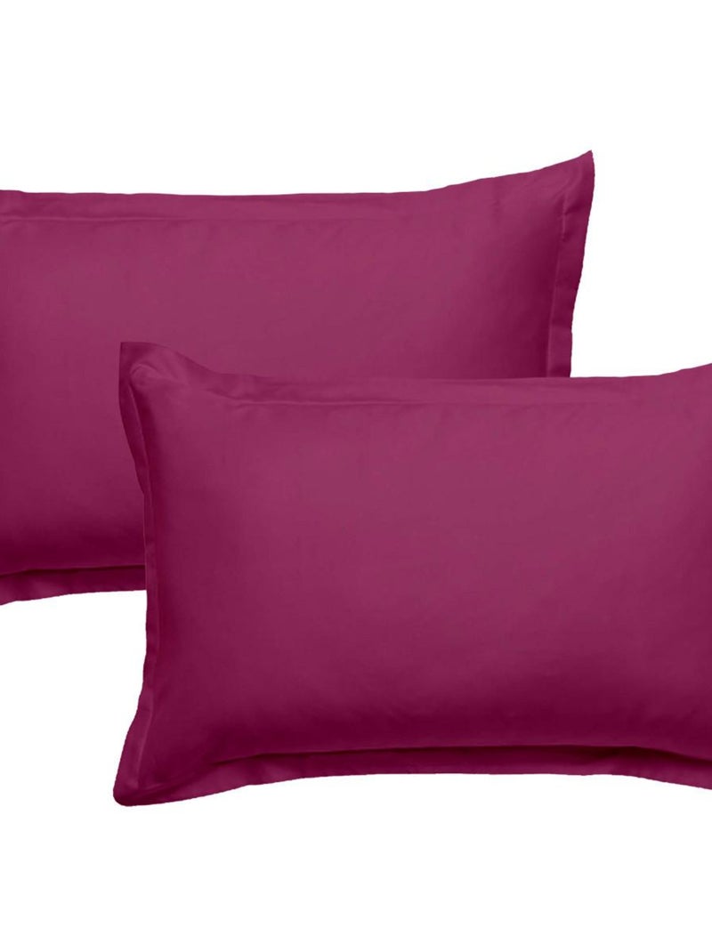 Future Home - Lot de 2 taies d'oreiller en coton  magenta 50x70cm Magenta - Kiabi