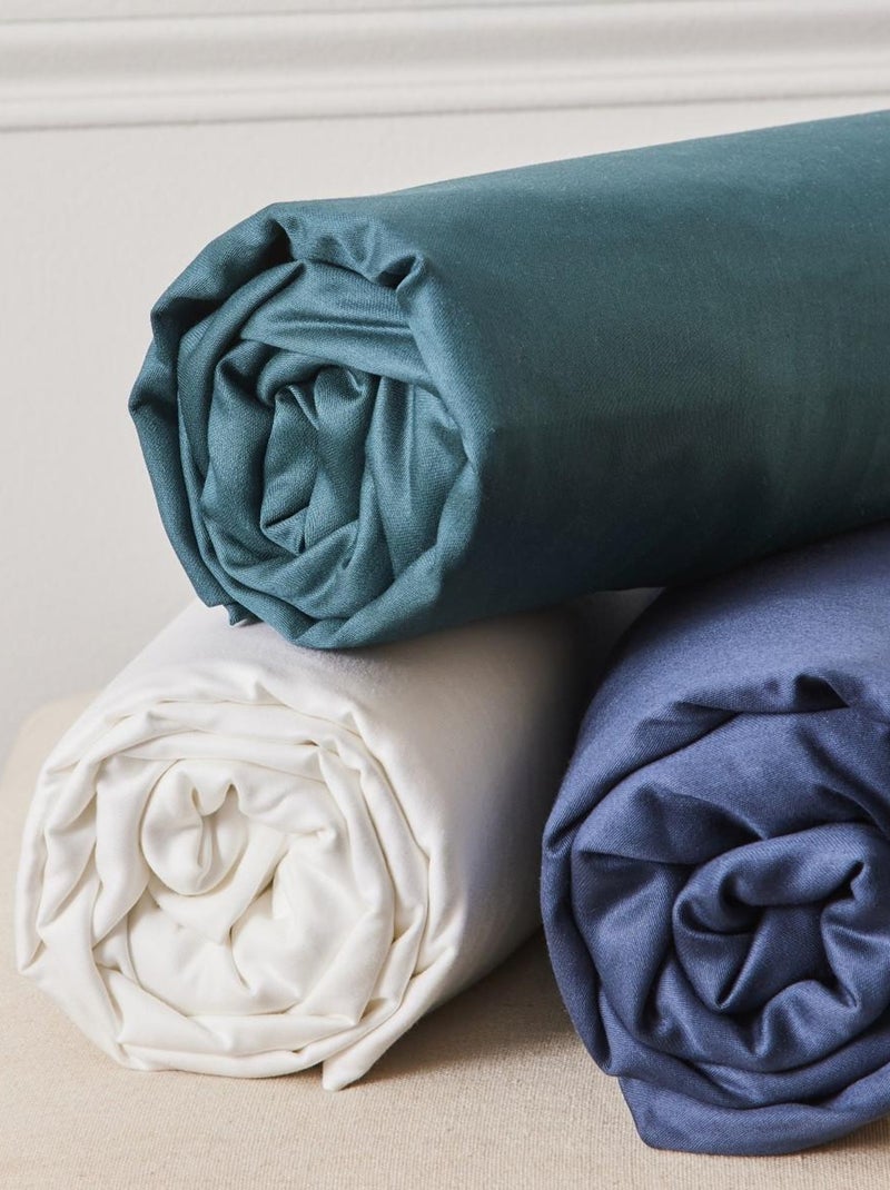 Future Home - Parure de lit 2 personnes fleurie en percale 70 fils Bleu - Kiabi