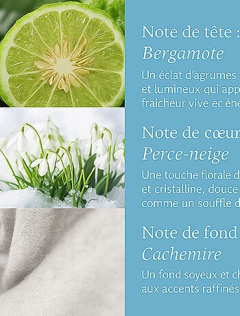 Galet à faire fondre flocons givrés