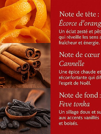 Galet à faire fondre magie de Noël