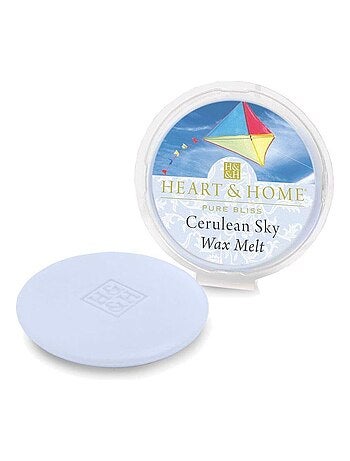 Galet pour brûle parfum cire de soja gardénia, iris et camomille