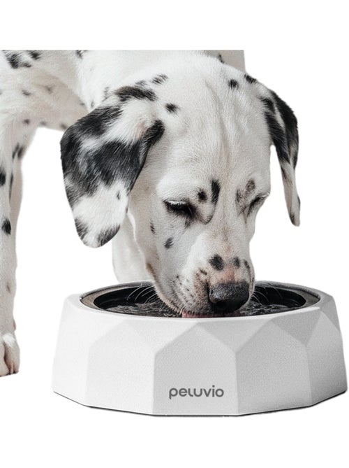 Gamelle Anti Éclaboussures Chien PELUVIO Surfa - 1L - Bol d'eau de Flottabilité - Voyage, Maison - Kiabi Gamelle Anti Éclaboussures Chien PELUVIO Surfa - 1L - Bol d'eau de Flottabilité - Voyage, Maison - Kiabi