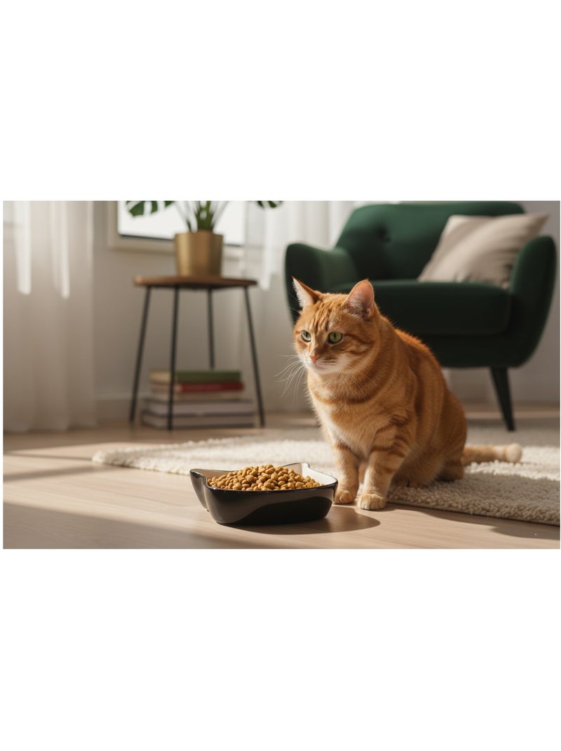 Gamelle duo de chat en céramique Blanc - Kiabi