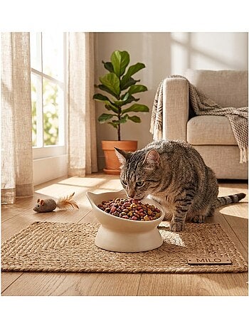 Gamelle ergonomique en céramique pour chat filou