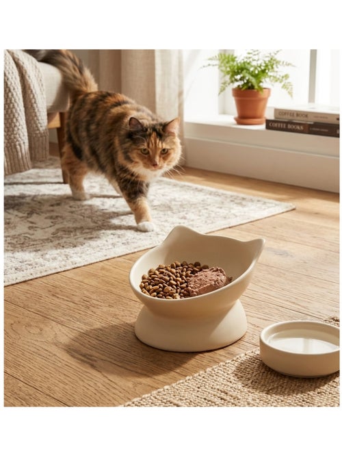 Gamelle ergonomique en céramique pour chat filou - Kiabi Gamelle ergonomique en céramique pour chat filou - Kiabi
