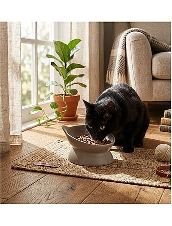 Gamelle ergonomique en céramique pour chat filou