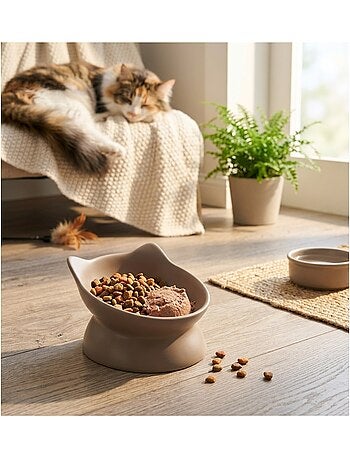 Gamelle ergonomique en céramique pour chat filou