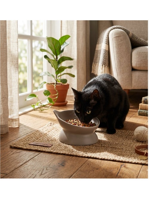 Gamelle ergonomique en céramique pour chat filou - Kiabi Gamelle ergonomique en céramique pour chat filou - Kiabi