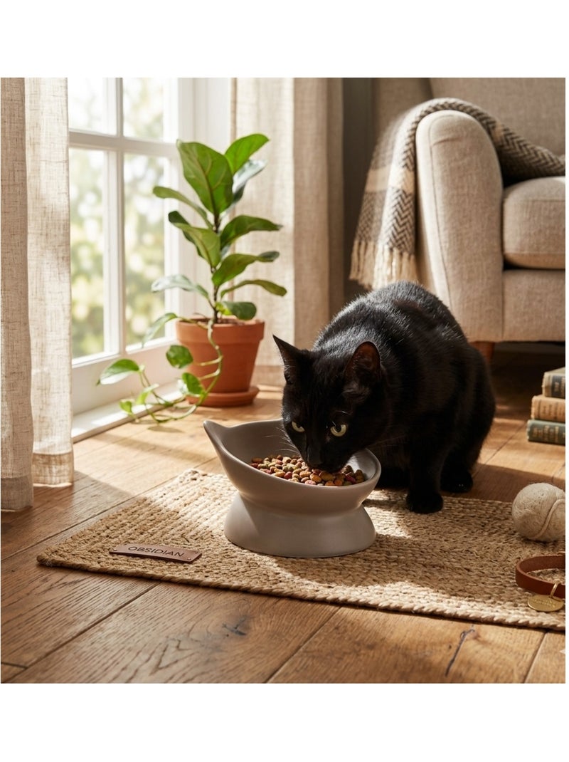 Gamelle ergonomique en céramique pour chat filou Taupe - Kiabi