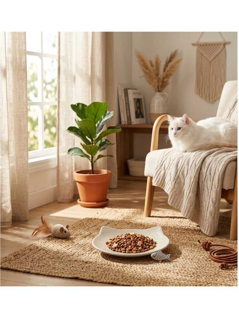 Gamelle plat en céramique pour chat anti-stress filou Beige/Vert - Kiabi