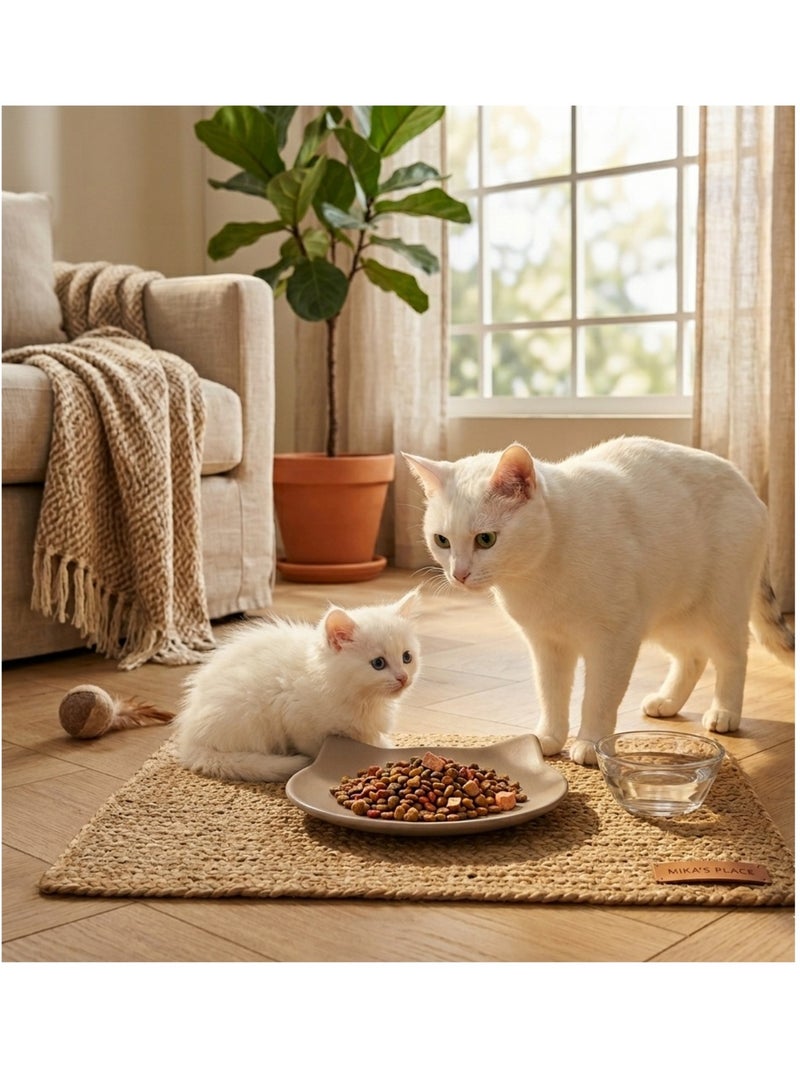 Gamelle plat en céramique pour chat anti-stress filou Jaune - Kiabi