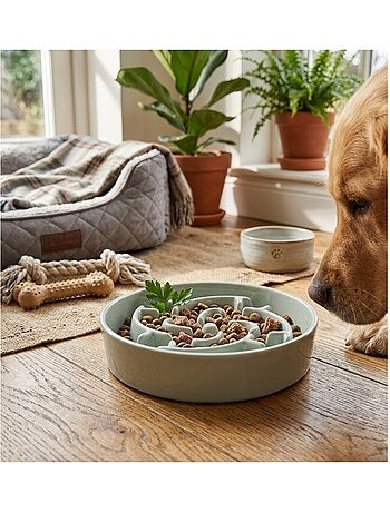 Gamelle ronde anti glouton pour chien sena