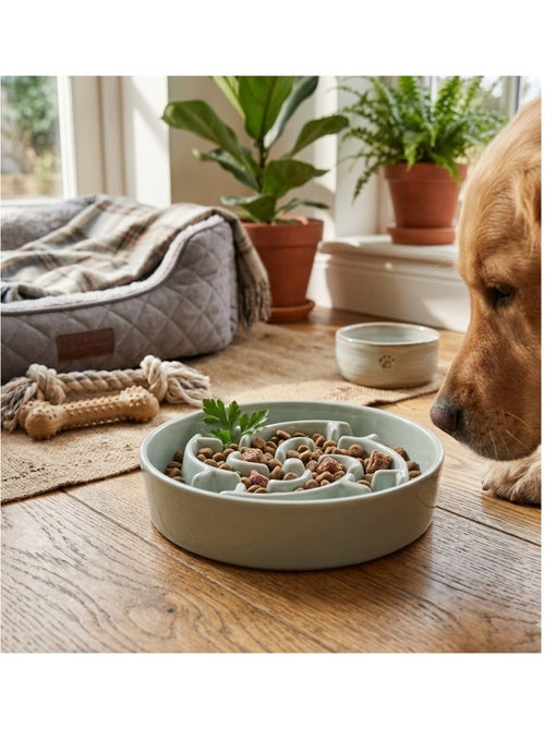 Gamelle ronde anti glouton pour chien Sena - Kiabi