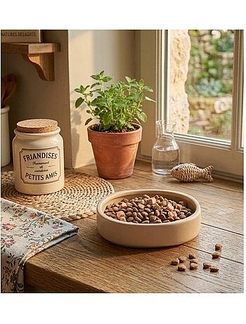 Gamelle ronde pour chat nourriture et eau zara
