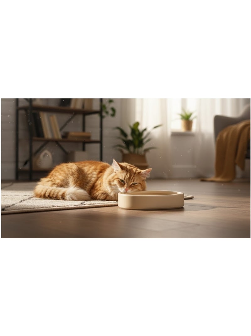 Gamelle ronde pour chat nourriture et eau Zara Beige - Kiabi