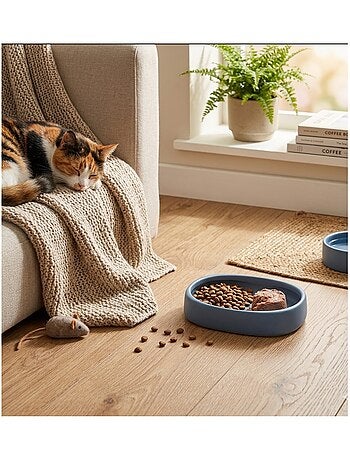 Gamelle ronde pour chat nourriture et eau zara