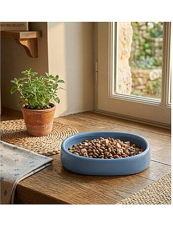 Gamelle ronde pour chat nourriture et eau zara