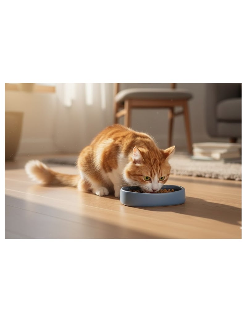 Gamelle ronde pour chat nourriture et eau Zara Bleu - Kiabi