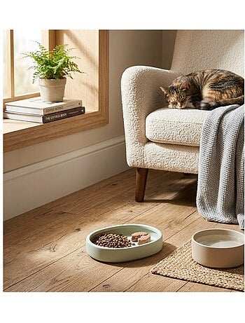 Gamelle ronde pour chat nourriture et eau zara