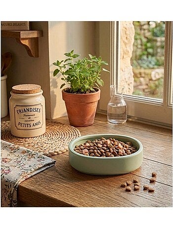 Gamelle ronde pour chat nourriture et eau zara