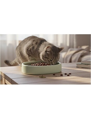 Gamelle ronde pour chat nourriture et eau zara