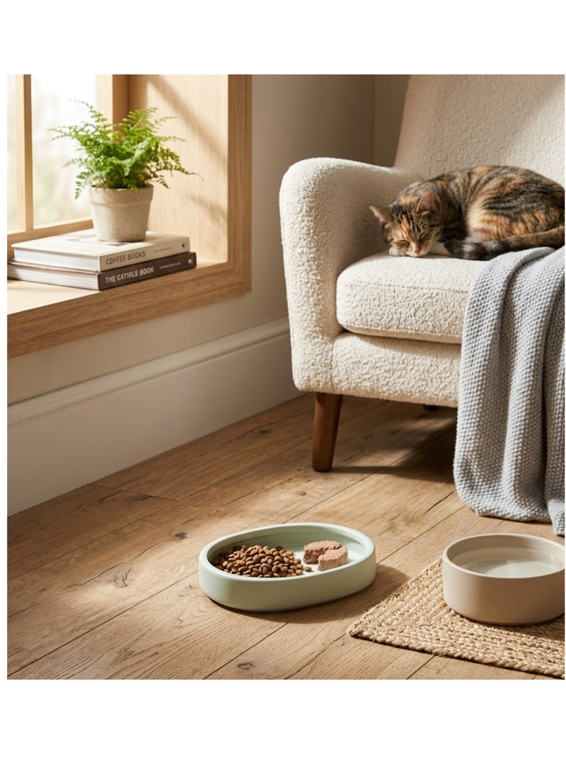 Gamelle ronde pour chat nourriture et eau Zara Vert - Kiabi