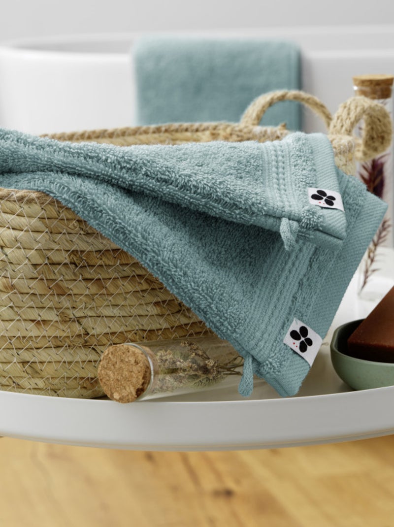 Gant de toilette - L'effet papillon - 100% Coton Bio Bleu polaire - Kiabi