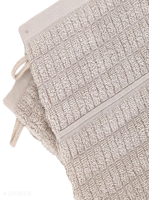 Gant de toilette collection SWELL - Kiabi