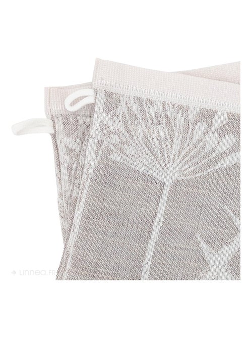 Gant de toilette DRY DANDELION - Kiabi