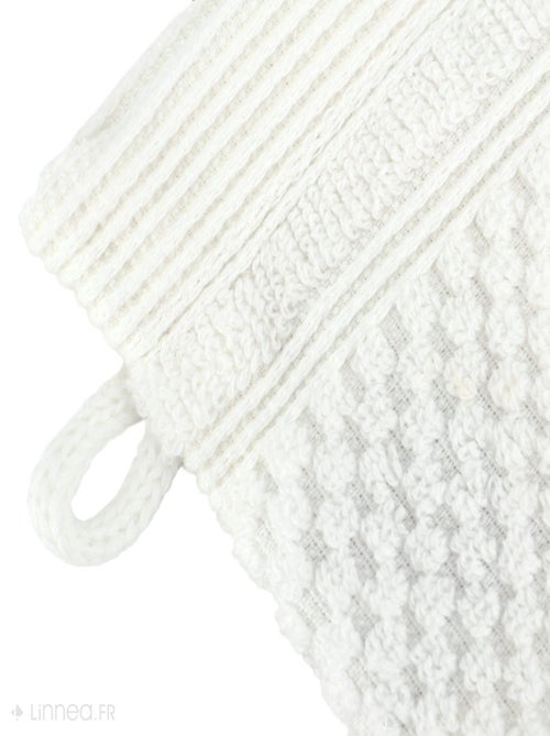 Gant de toilette DUNE - Kiabi