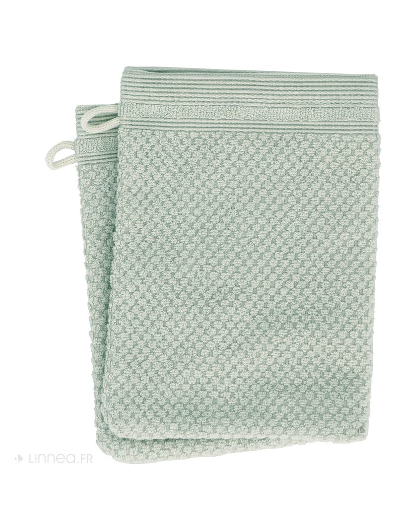 Gant de toilette DUNE Vert d'eau - Kiabi