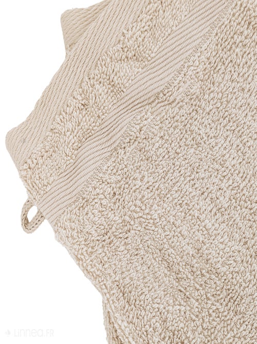 Gant de toilette  EFFICIENCE PURE - Kiabi