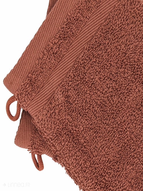 Gant de toilette  EFFICIENCE PURE - Kiabi