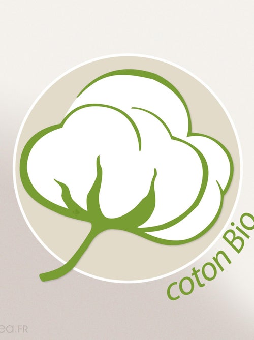 Gant de toilette FICUS 500 g/m2 pur coton issu de l'agriculture biologique - Kiabi