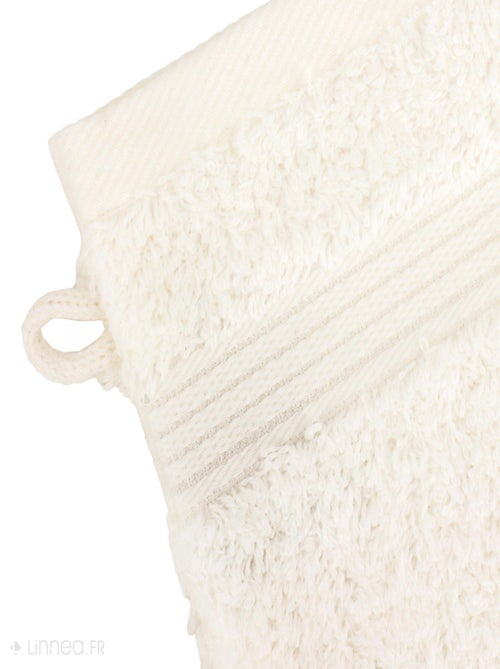 Gant de toilette LUXOR - Kiabi