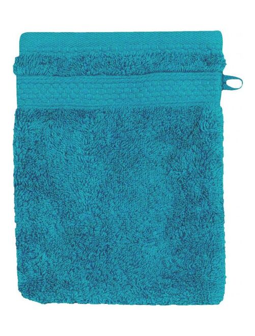 Gant de toilette Naîa 15 x 21 cm / 550 gr/m² Vent du sud - Kiabi