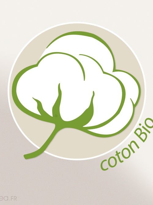 Gant de toilette NATURAL - Kiabi