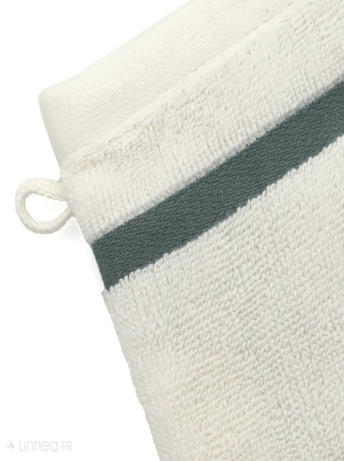 Gant de toilette RIBBON - Kiabi