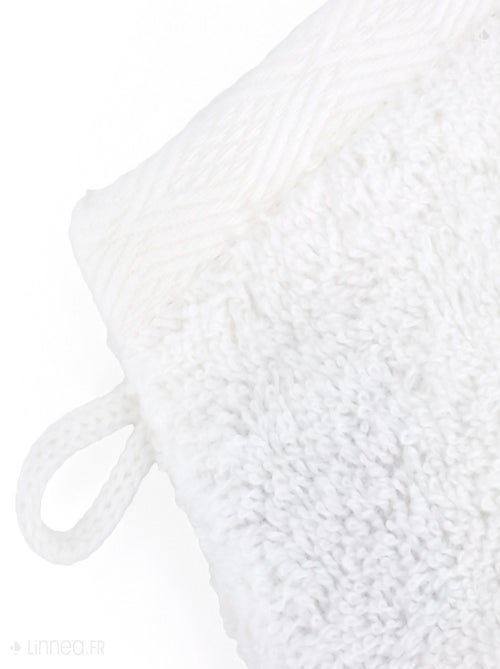 Gant de toilette SOFTY - Kiabi