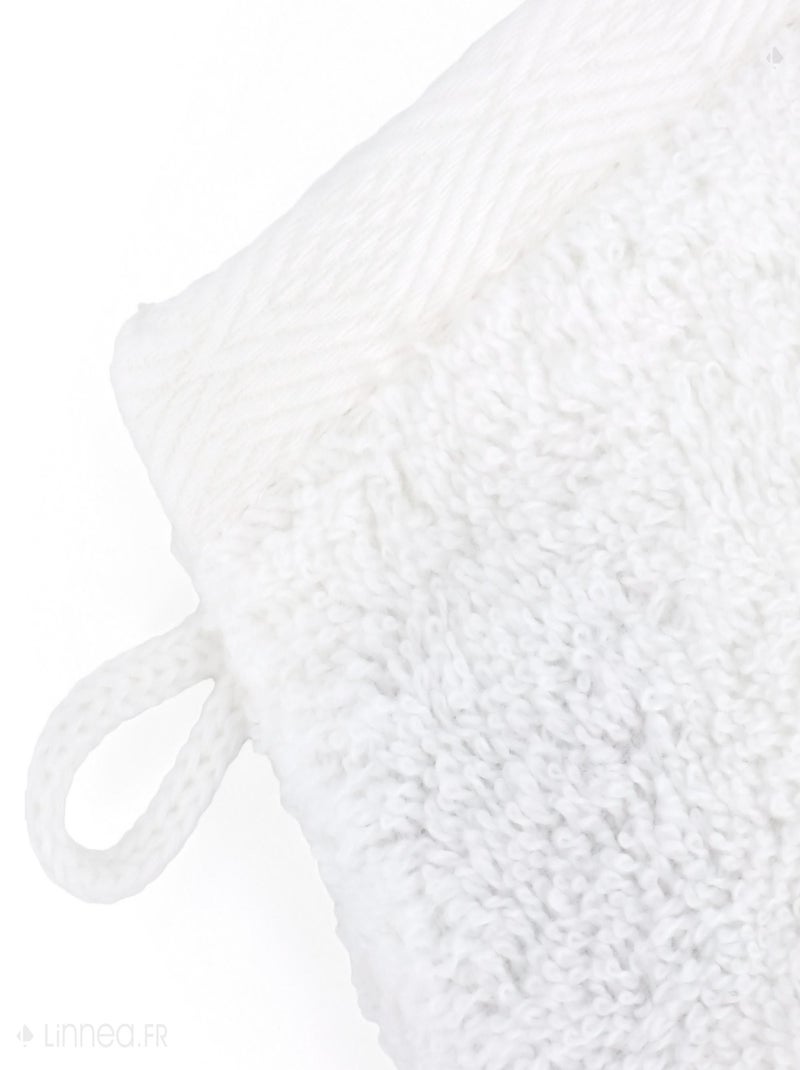 Gant de toilette SOFTY Blanc - Kiabi