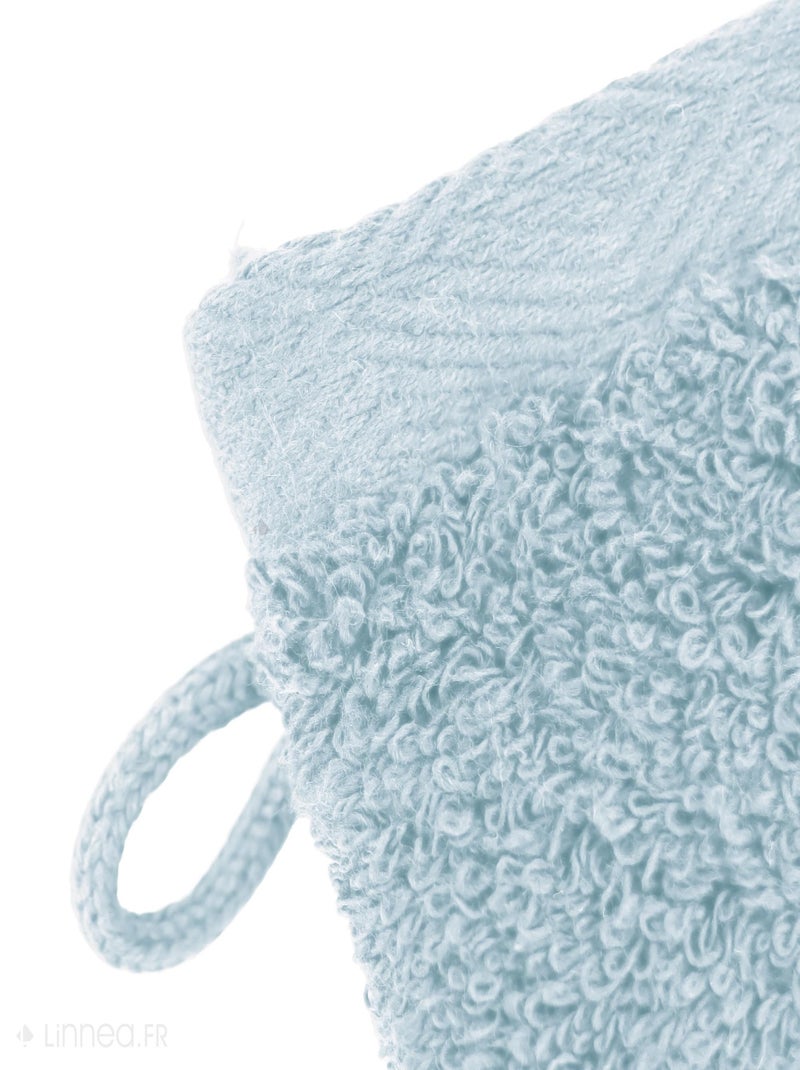 Gant de toilette SOFTY Bleu clair - Kiabi