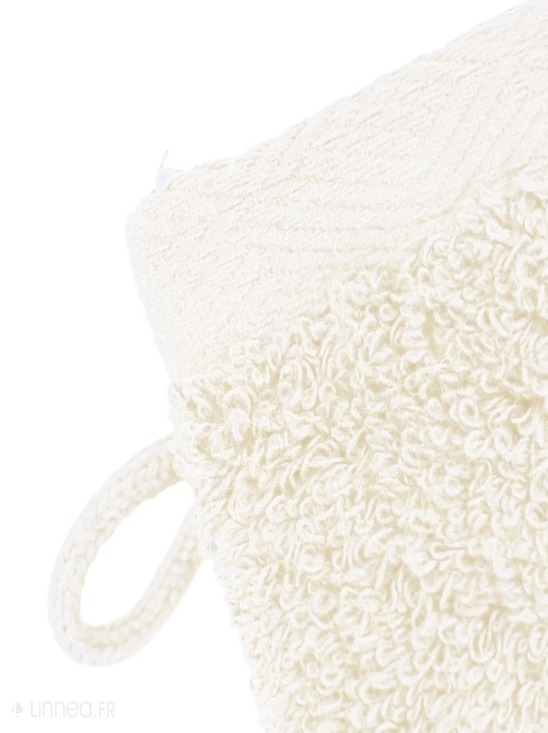 Gant de toilette SOFTY Ivoire - Kiabi