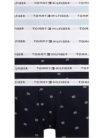 Garçon tommy hilfiger trunk print