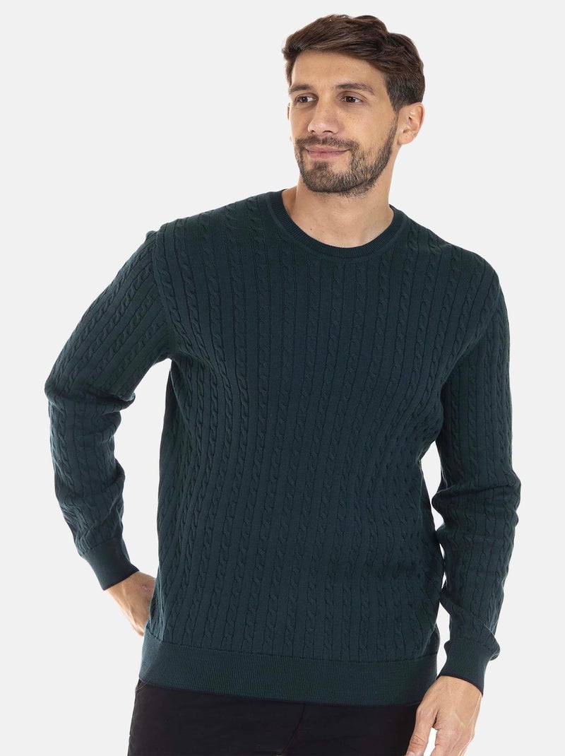 Gentleman Farmer - Pull col rond  en coton LEO Vert - Kiabi