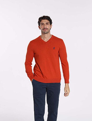 Gentleman Farmer - Pulls col v en coton PITT