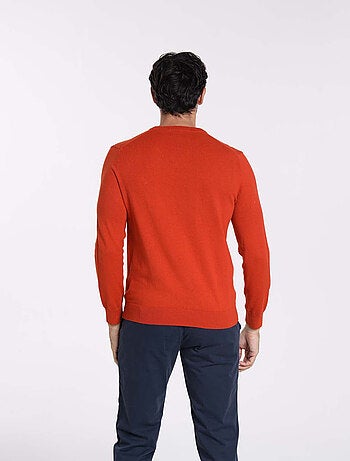 Gentleman Farmer - Pulls col v en coton PITT