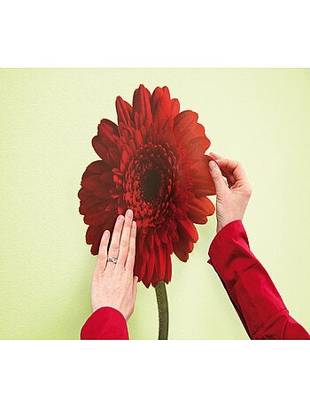 Gerbera, Sticker mural deux grandes fleurs rouge et jaune - 50x70 cm