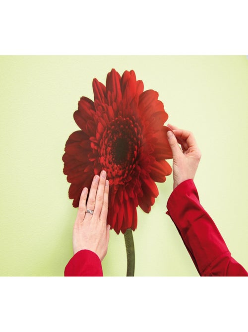 Gerbera, Sticker mural deux grandes fleurs rouge et jaune - 50x70 cm - Kiabi