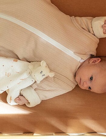 Gigoteuse bébé avec manches amovibles